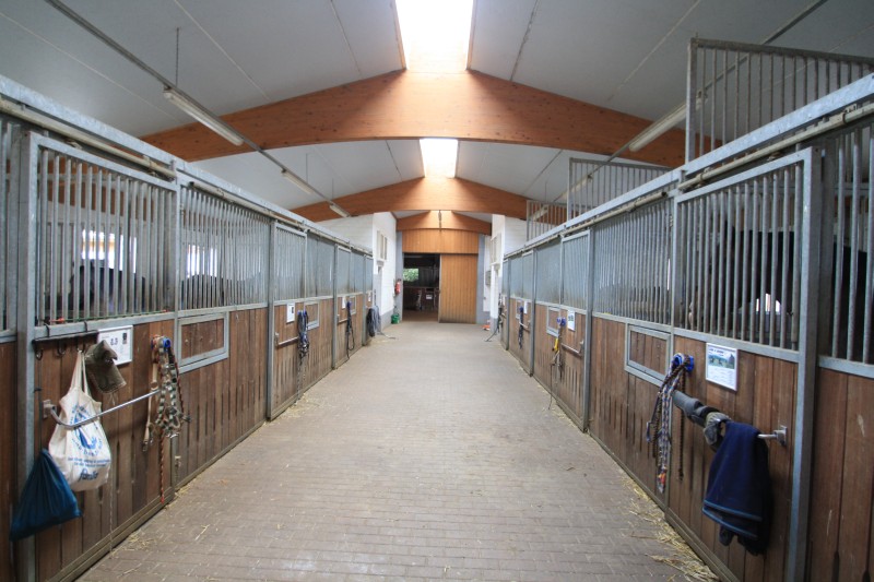 Ausbildungs- & Reitsportanlage00651