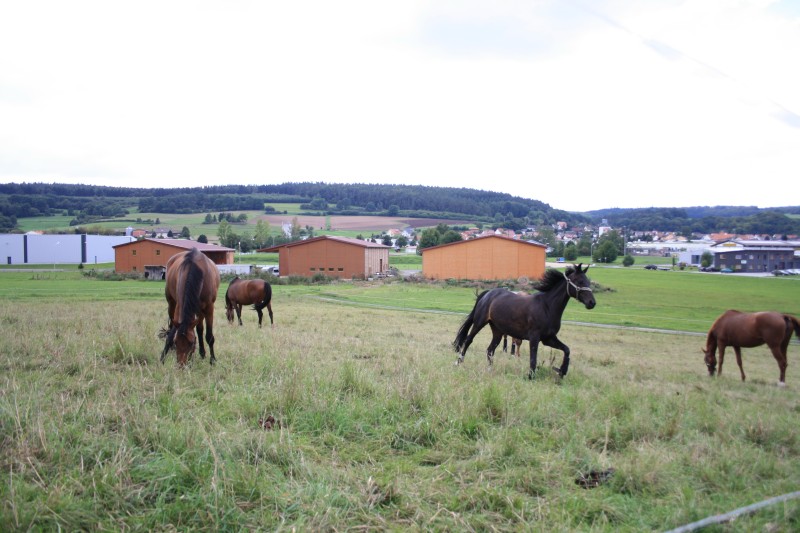 Ausbildungs- & Reitsportanlage02151