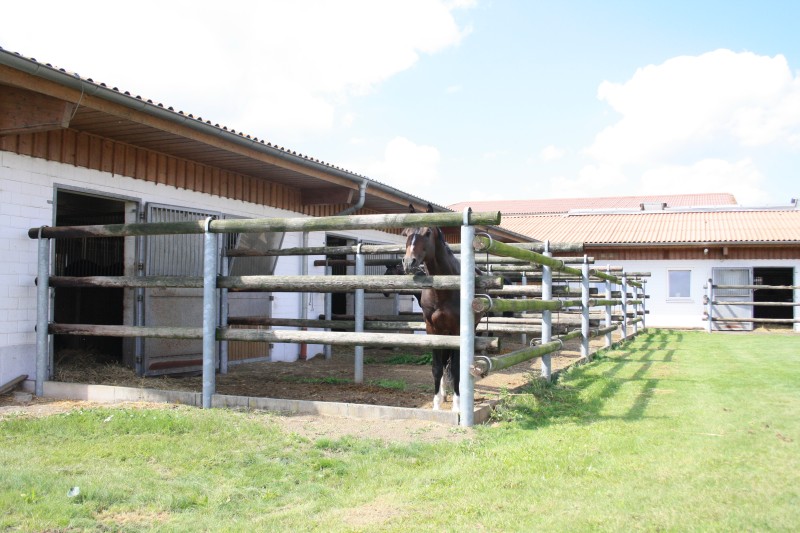 Ausbildungs- & Reitsportanlage97521