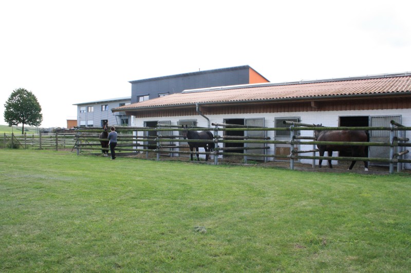 Ausbildungs- & Reitsportanlage97681